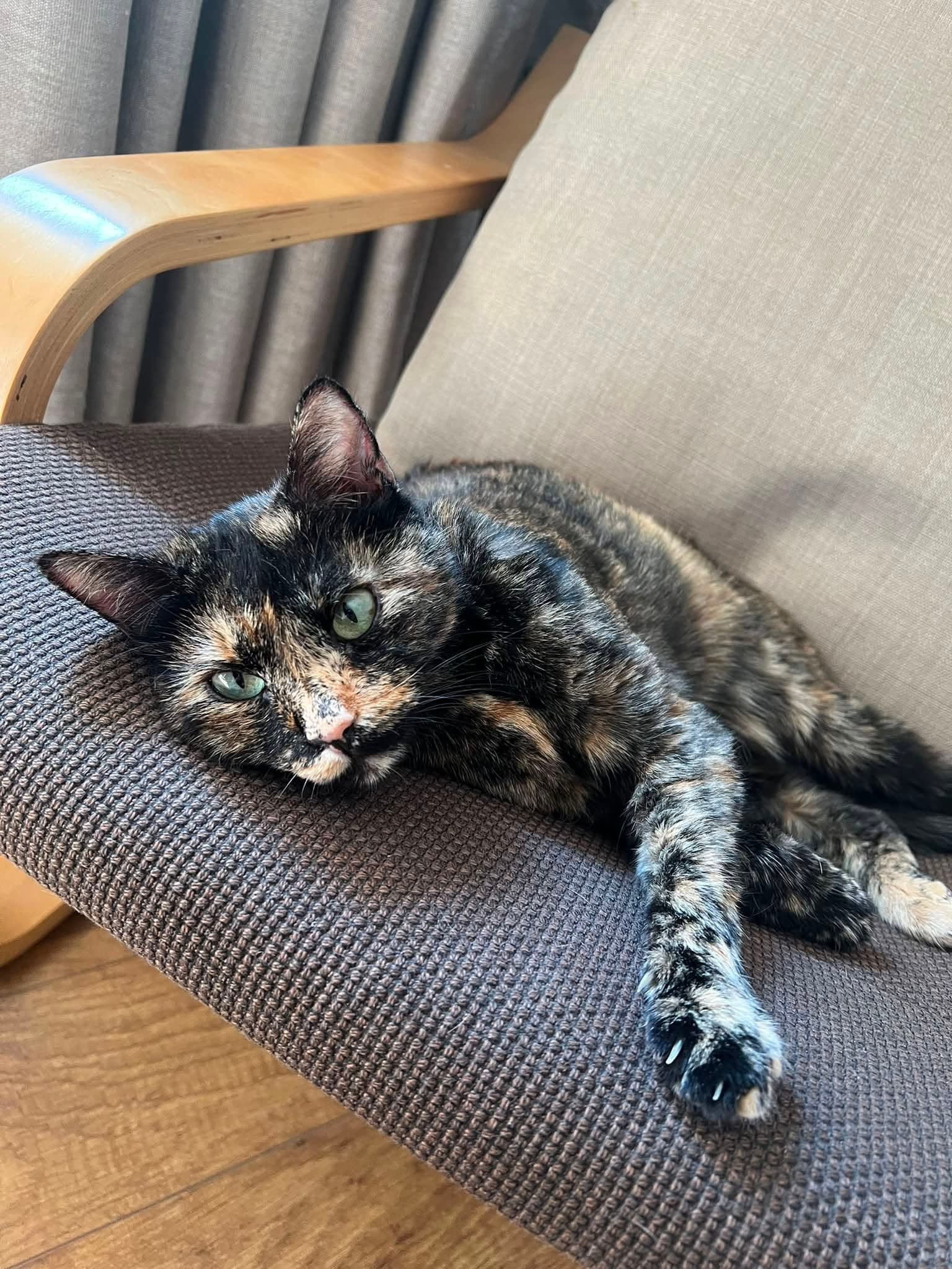 Kiki