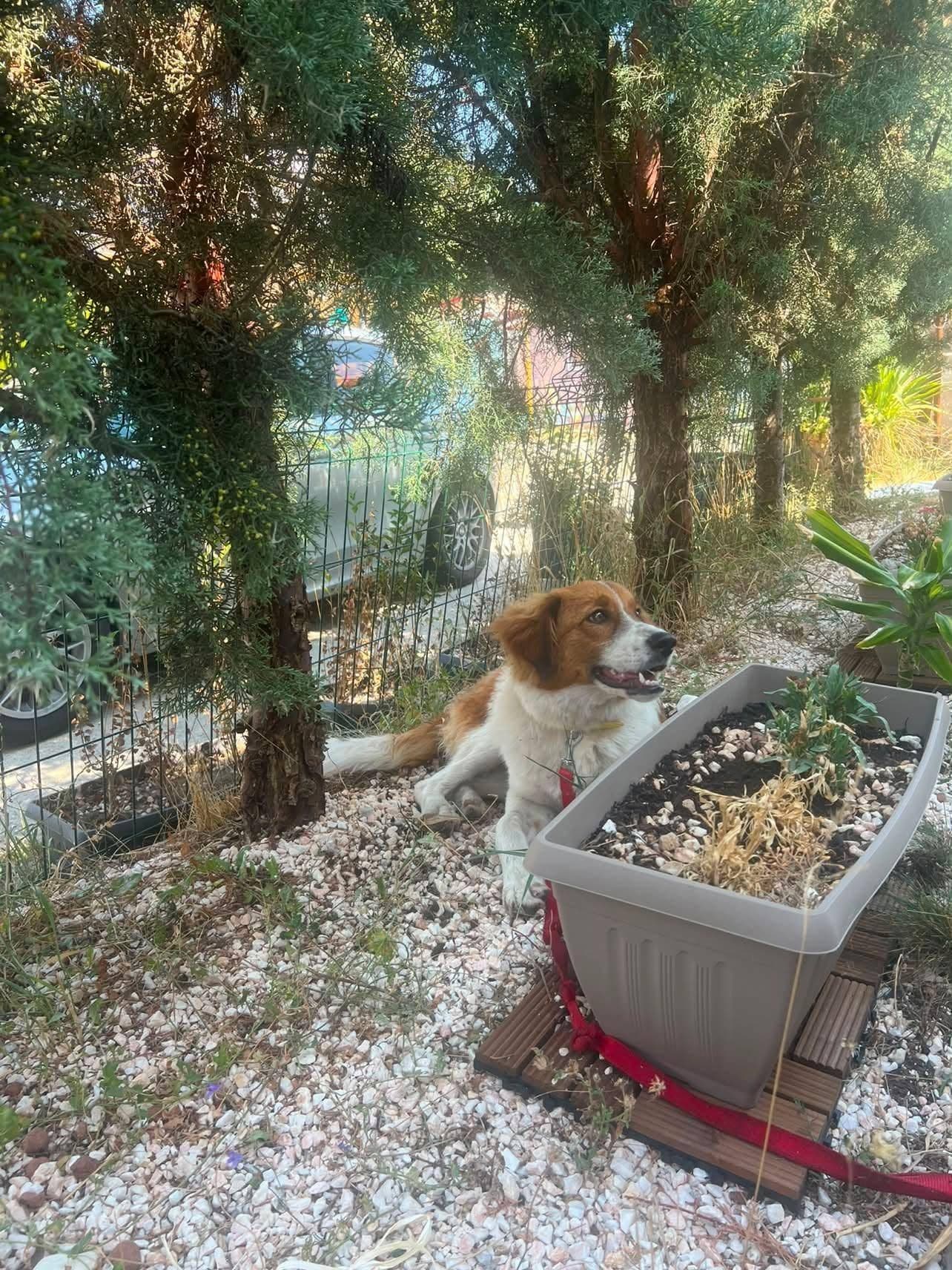 Неизвестно куче