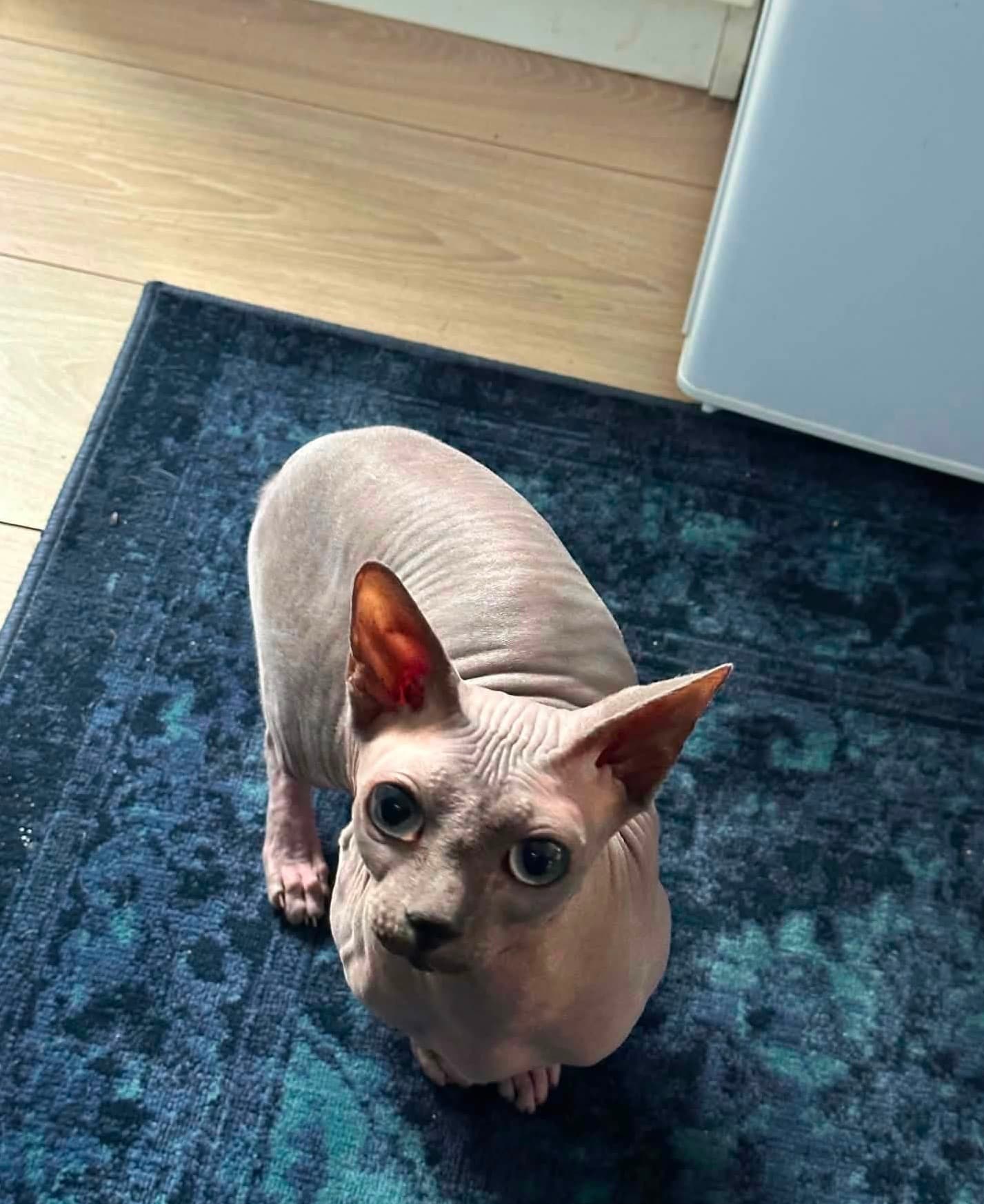Doby