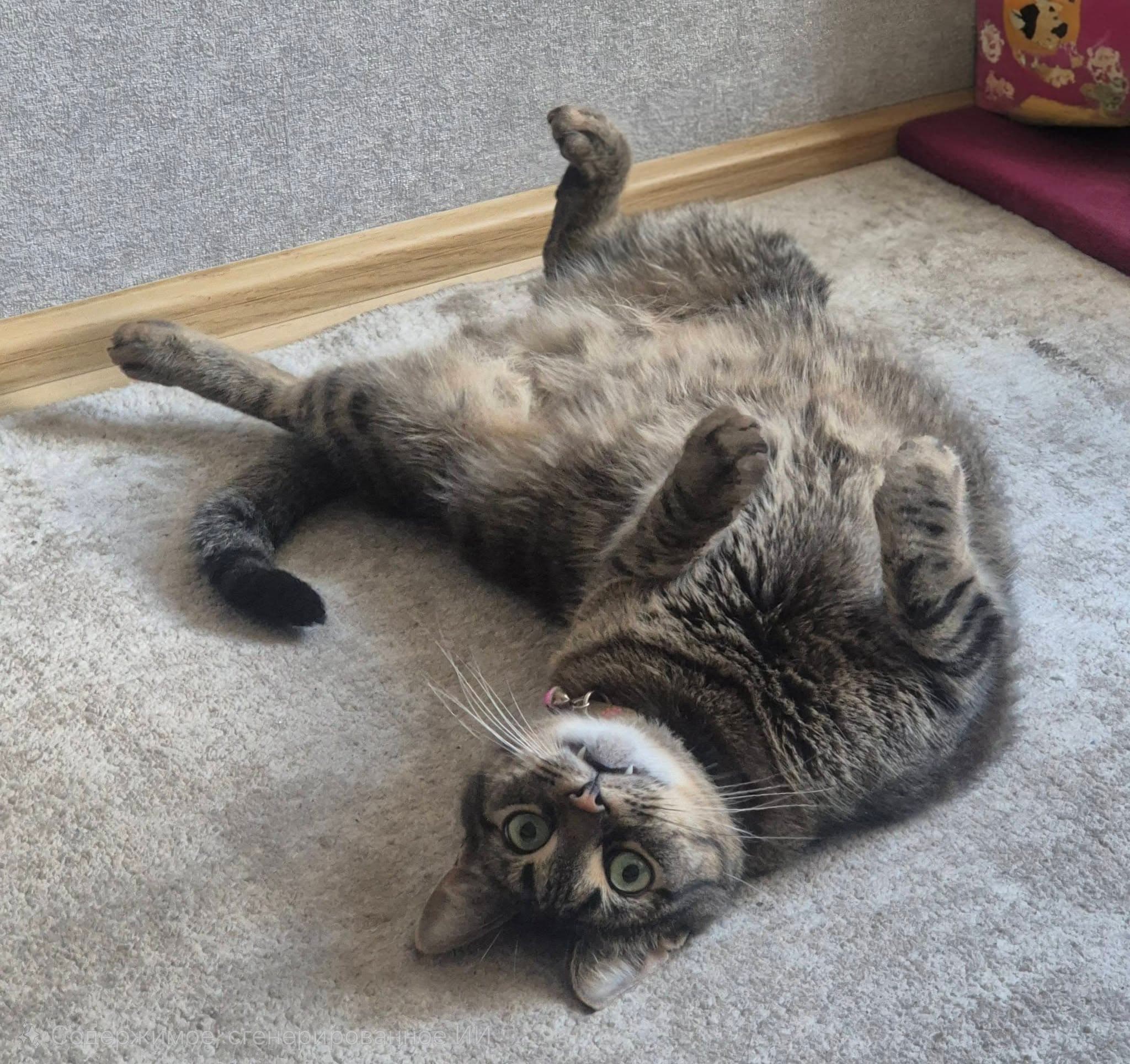Fotografie cu Tigr — 1 din 2