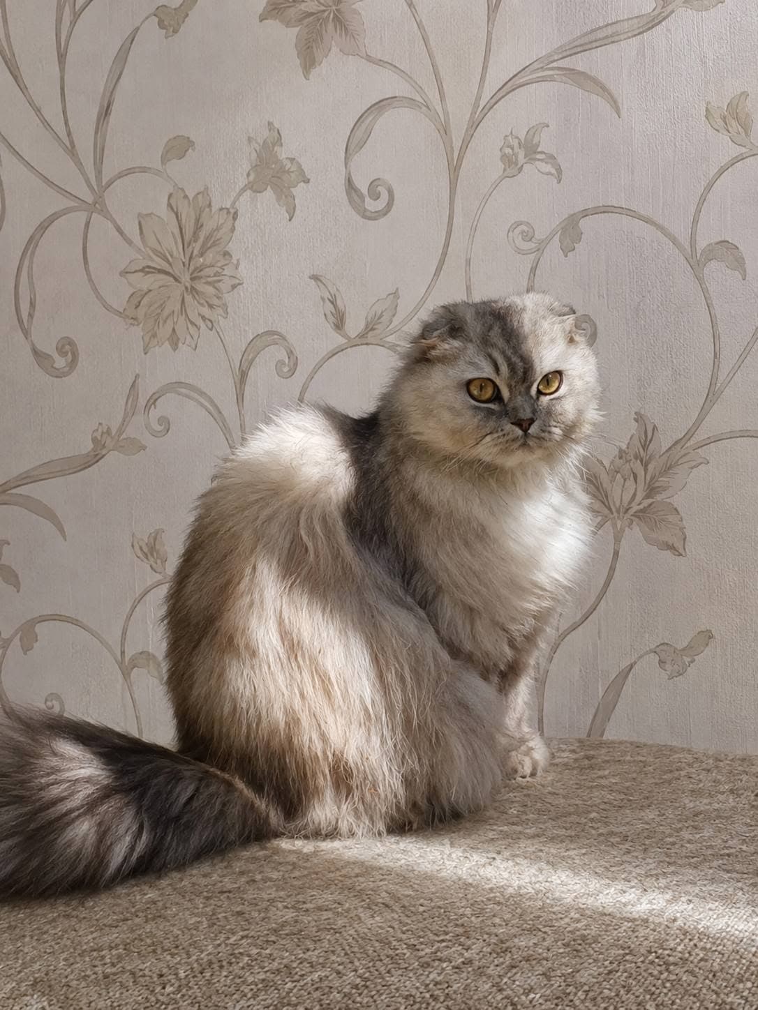 Fotografie cu animăluțul — 1 din 2